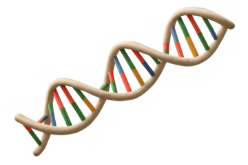 Dna double helix structure representing genetics, human biology, science, medical research, and evolution concept