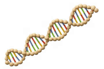 Dna double helix structure representing genetics and molecular biology on transparent background