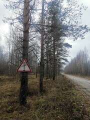 A red and white triangle warning sign featuring a black cross attached to a thick pine tree alongside a remote, dirt-asphalt road in an autumn forest in Karelia.