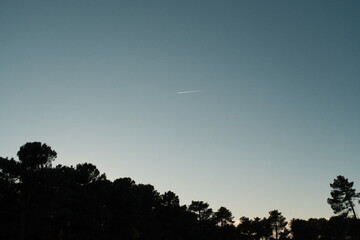 Airplane at the sunset