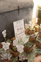 Succulent party favors with sign, 