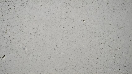 Plain Light Gray Concrete Wall Surface with Small Imperfections