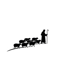 Silhouette of a shepherd guiding a flock of sheep.