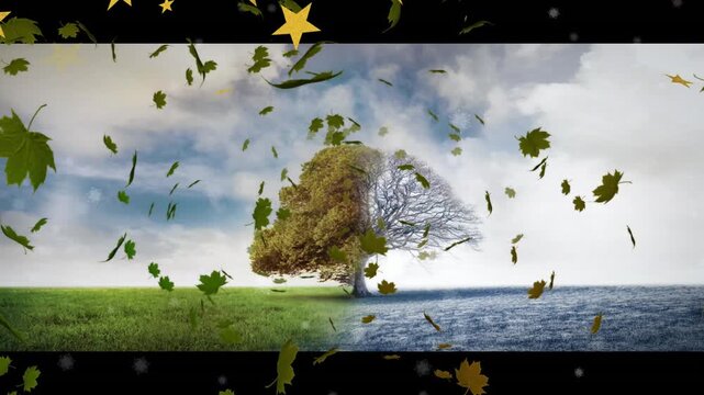 Leaves and stars floating in, swirling around central tree over grass-water showing seasonal change