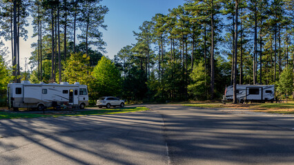Two RVs are parked in a serene forest clearing, surrounded by tall pine trees. Shadows stretch across the road as sunlight filters through the branches.