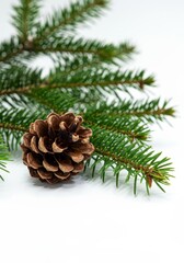 Fototapeta premium Green fir branch and a brown pine cone isolated on a clean white background, perfect for seasonal designs and natural themes ,object, holiday, twig