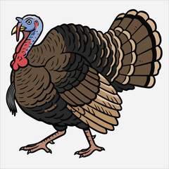 A cartoon turkey with brown feathers and a blue head stands on a white background, showcasing its colorful plumage and distinctive wattle.