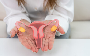 Woman holding uterus health therapy care checkup, reproductive system, HPV, papillomavirus, HPV vaccine, cervical cancer, stomach ache, insurance and hospital, Woman healthcare