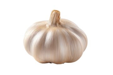 Close-up of a single head of garlic, pale cream color, showing the bulb's layers and stem