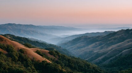 Naklejka premium The mountains are covered in trees and the sky is a shade of pink