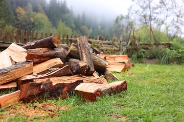 Pile of cut firewood on green grass outdoors. Space for text