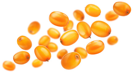 Fresh sea buckthorn berries in air on white background