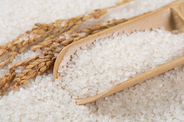 white rice grain with ear of rice texture background.