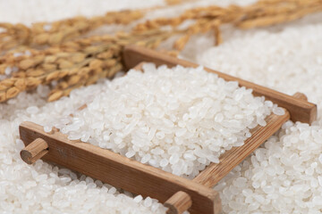 white rice grain with ear of rice texture background.