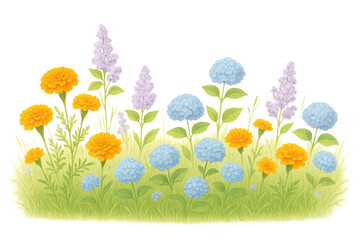Lush garden border blooming with colorful marigolds, hydrangeas, and lilac flowers on green grass illustration
