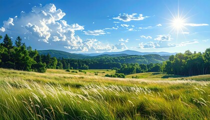 Fototapeta premium Vast Green Meadow Under Bright Sunny Sky with Fluffy White Clouds and Distant Hills