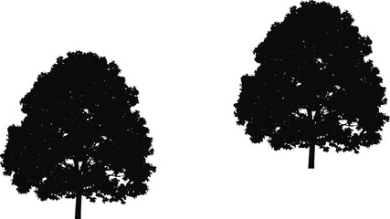 The image features trees set against a clean white background, creating a striking visual contrast. The tree on the left is depicted in a dark  hue, which adds an element of uniqueness and vibrancy to
