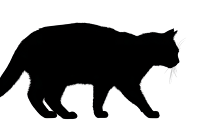 silhouette of a black cat on white background 