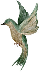 Obraz premium Watercolor Green Bird Illustration Hand Painted Flying Bird Clipart
