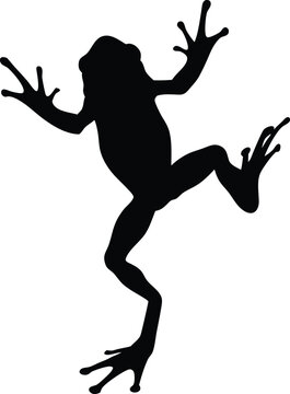 Tree Frog Silhouette Vector, Black Climbing Amphibian Clipart