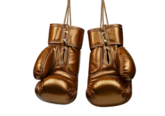 A pair of Bronze boxing gloves hang from a hook, ready for use  isolated on transparent or white background