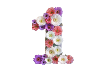 1 made from flowers isolated on a transparent or white background