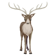 水彩で描いたトナカイのイラスト