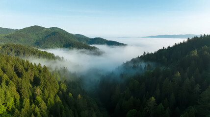 Start of Autumn solar term morning mountain forest sea of clouds aerial photography natural background
