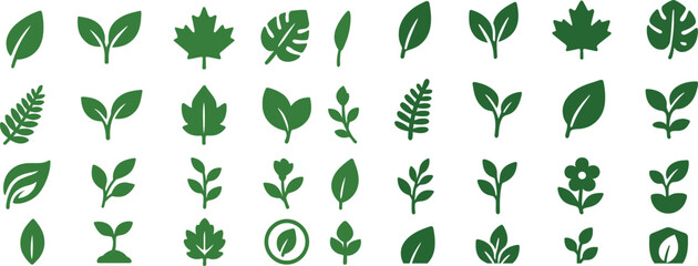 solid color flat icons representing leaves and nature themes. Plain simple shapes with smooth edges, no gradients, no textures, no raster effects. Icons include maple leaf, oak leaf, birch leaf, chest