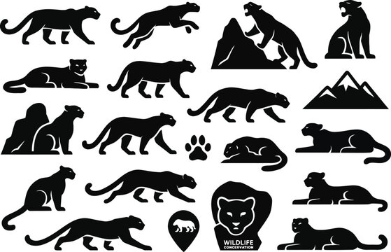 16 Snow Leopard Silhouette Icons of India on White Background
