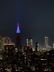 NTT Docomo Yoyogi Tower Illuminated in Purple and Blue at Night in Shinjuku Tokyo