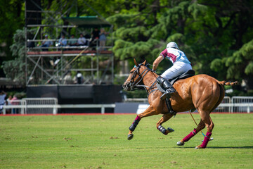 polo players on the field riding a horse during a match