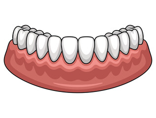 Vector illustration of human lower jaw gum with crooked teeth isolated on white background perfect for dentistry education orthodontic awareness and medical projects