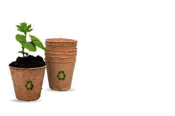 Perspective view of baby seedling growing in eco pulp plant pots and recycle icon isolated on white background with copy space. 