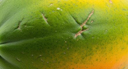 Close-up of a vibrant green and yellow papaya with skin