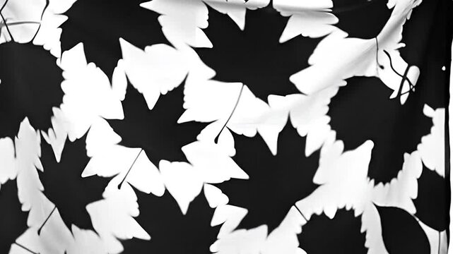 Black and white maple leaf pattern background