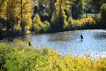 Fly Fishing in the Fall