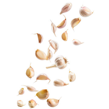 Falling Garlic cloves isolate on transparency background