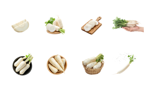 Collection of Daikon in a bowl top view isolate on transparency background