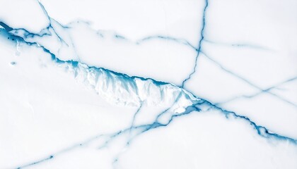 Elegant white marble texture with intricate blue veining background.
