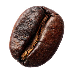 Single roasted coffee bean isolated on transparent background.