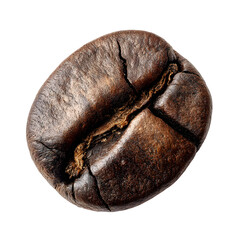 Single roasted coffee bean isolated on transparent background.