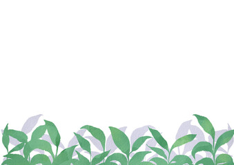 手描きの緑の葉と水彩背景のイラスト
