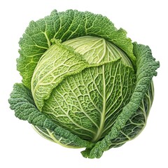Fototapeta premium Fresh Green Cabbage Isolated on Transparent Background Cutout,Fresh Organic Cabbage – Transparent Background Image