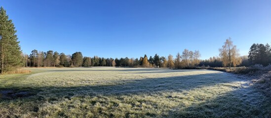 Obraz premium Panoramic view of a frosty meadow landscape on a clear sunny winter morning with a blue sky and trees in the background.