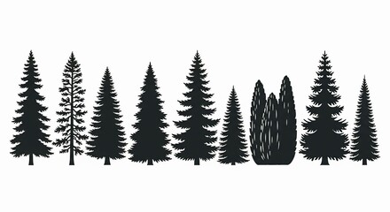 Fototapeta premium Tropical palm trees set silhouettes . Silhouette of Conifer and Evergreen Trees in Forest Border