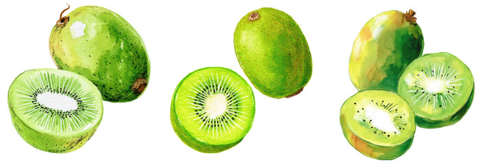 Fototapeta premium Vibrant Kiwi Display: Freshly sliced kiwis showcase the juicy interior alongside whole, unblemished fruits, inviting viewers to savor the taste of nature's delights. 