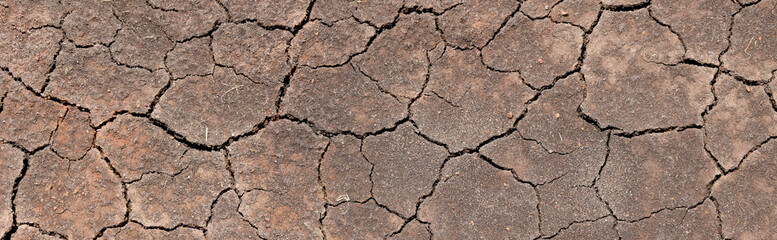 Wall texture soil dry crack pattern of drought lack of water of nature brown old broken background.