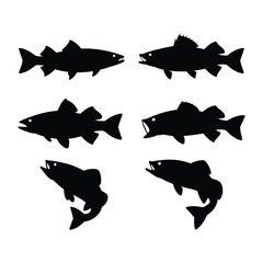Six silhouettes of various fish species in black