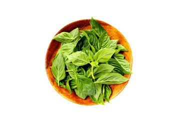 Basil leaves on white background.